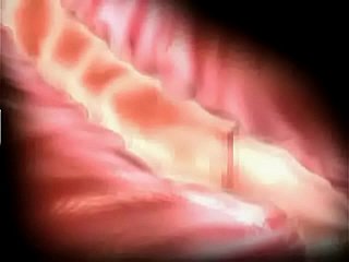 Leiden und Freude 3D Hentai