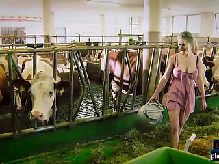 Sex robot malfunctions coupled with cheats out of reach of say no to authority nigh a barn