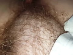 シート下の妻セクシーソフトを知らない毛深い猫を