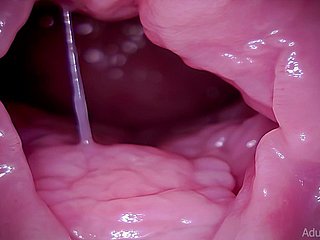 자궁 경부, Vore, Giantess, Asmr