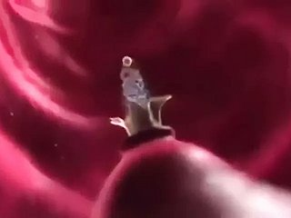 Imprägnierung Fantasie (animiert)