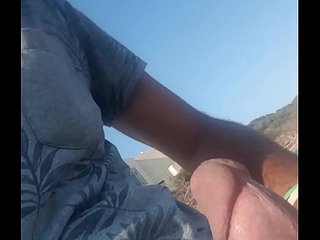大きなチュニジアのコック