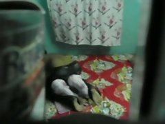 coitus kuliah remaja tersembunyi