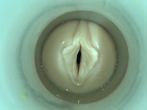 通过凸轮暨破坏的人我的阴户