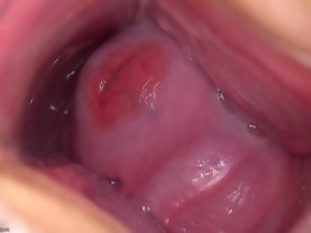 ヴァレンティーナ・ナピィ猫の鏡をクローズアップGAPE