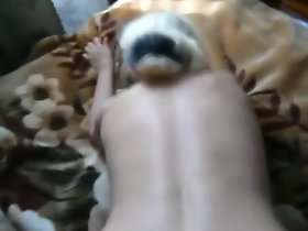 doggy 2