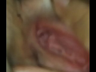 اسیر چینی کنواری بلی دکھا رہا ہے۔