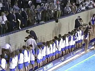 mehr Esel auf Wasserball