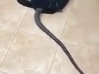 DON＆＃039; T WATCHあなたは簡単に:-)怖がっている場合