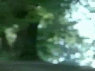 Italian Paradigm (French Dub)