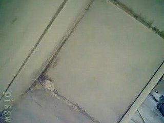 नई WC 18