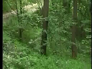 Jebacina na Avali serbsko-Srpski Przez KRMANJONAC