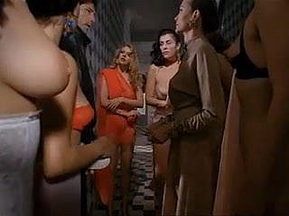 Paprika (1991) by Tinto Guaranty