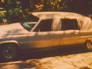 Collegamento Limo