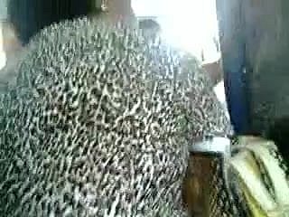 बस 1 में स्वादिष्ट गधा नानी MILF को स्पर्श