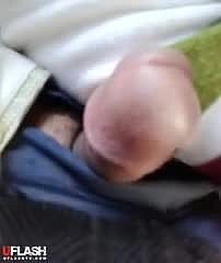 Hijabi बस फ्लैश
