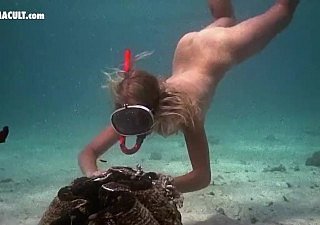 Selebriti Nude - Adegan Hollowed-out