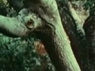 Young girl fucked at the end of one's tether Bigfoot