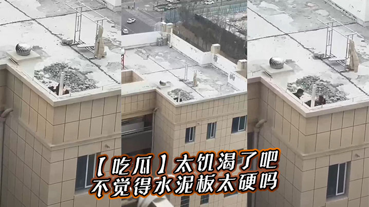 吃瓜太饥渴了吧不觉得水泥板太硬吗.